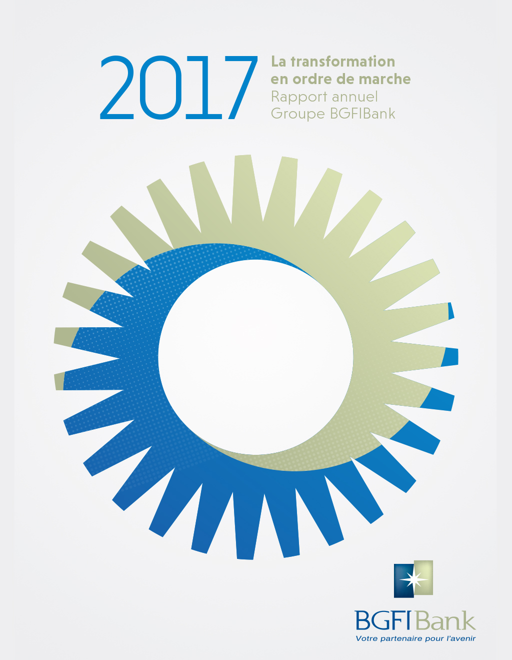 Rapport Annuel 2017