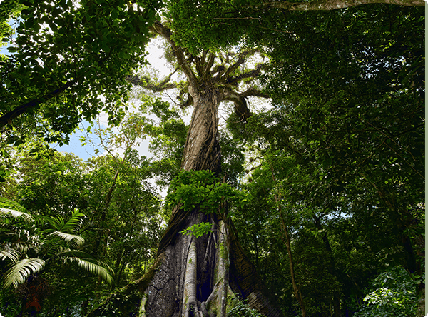 Focus : climat et biodiversité